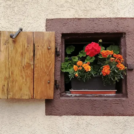 Gite Le Patio Kaysersberg-Vignoble Exterior foto